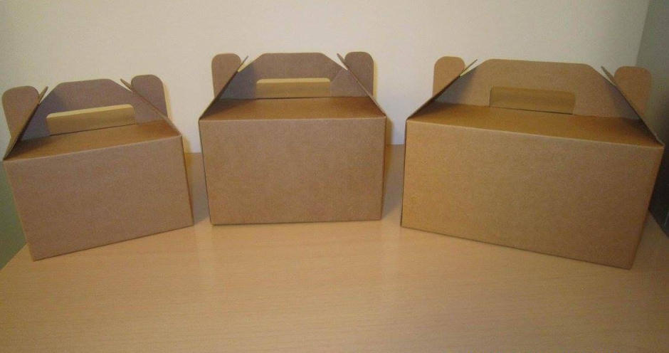 Nepotiskana kartonska embalaža
